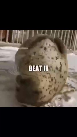 BEAT IT