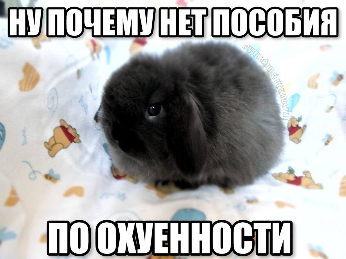 ПОТОХУЕННОСТИ