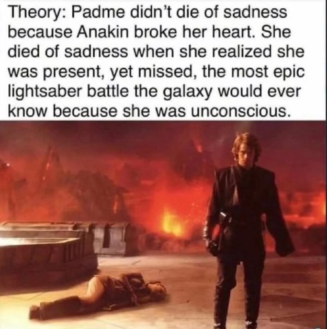 Theory: Padme didn’t die of sadness because Anakin broke her heart. She died of sadness when she realized she was present, yet missed, the most epic lightsaber battle the galaxy would ever know becaus
