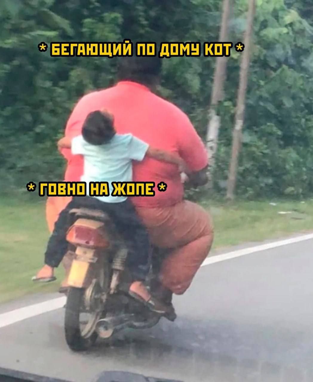 БЕГАЮЩИЙ ПО ДОМУ КОТ ГОВНОНАУЖОПЕ