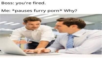 Boss: you're fired. *pauses furry porn*® Why?