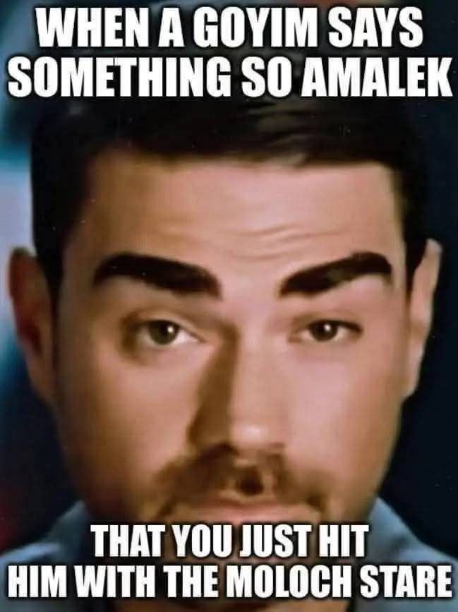 WHEN A GOYIM SAYS SOMETHING SO AMALEK THAT YOU JUST HIT HIM WITH THE MOLOCH STARE