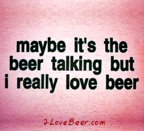 maybe it's the beer talking but really love beer