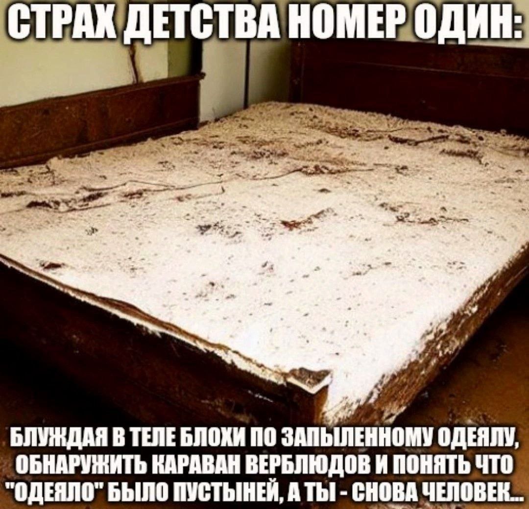 За 4 БЛУЖДАЯ В ТЕЛЕ БЛОХИ ПО ЗАПЫЛЕННОМУ ОДЕЯЛУ, ОБНАРУЖИТЬ КАРАВАН ВЕРБЛЮДОВ И ПОНЯТЬ ЧТО "ОДЕЯЛО" БЫЛО ПУСТЫНЕЙ, АТЫ СНОВА