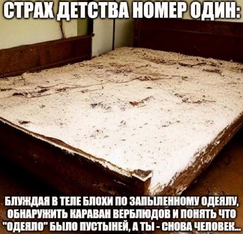 За 4 БЛУЖДАЯ В ТЕЛЕ БЛОХИ ПО ЗАПЫЛЕННОМУ ОДЕЯЛУ, ОБНАРУЖИТЬ КАРАВАН ВЕРБЛЮДОВ И ПОНЯТЬ ЧТО "ОДЕЯЛО" БЫЛО ПУСТЫНЕЙ, АТЫ СНОВА