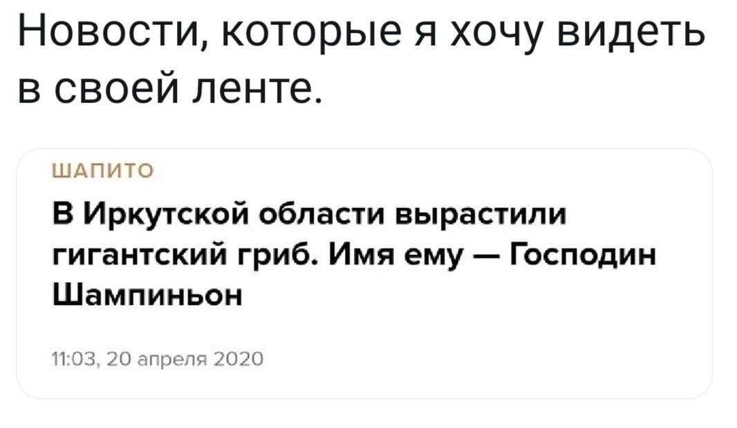 Новости, которые я хочу видеть в своей ленте. ШАПИТО В Иркутской области вырастили гигантский гриб. Имя ему Господин Шампиньон 11:03, 20 апреля 2020