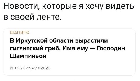 Новости, которые я хочу видеть в своей ленте. ШАПИТО В Иркутской области вырастили гигантский гриб. Имя ему Господин Шампиньон 11:03, 20 апреля 2020
