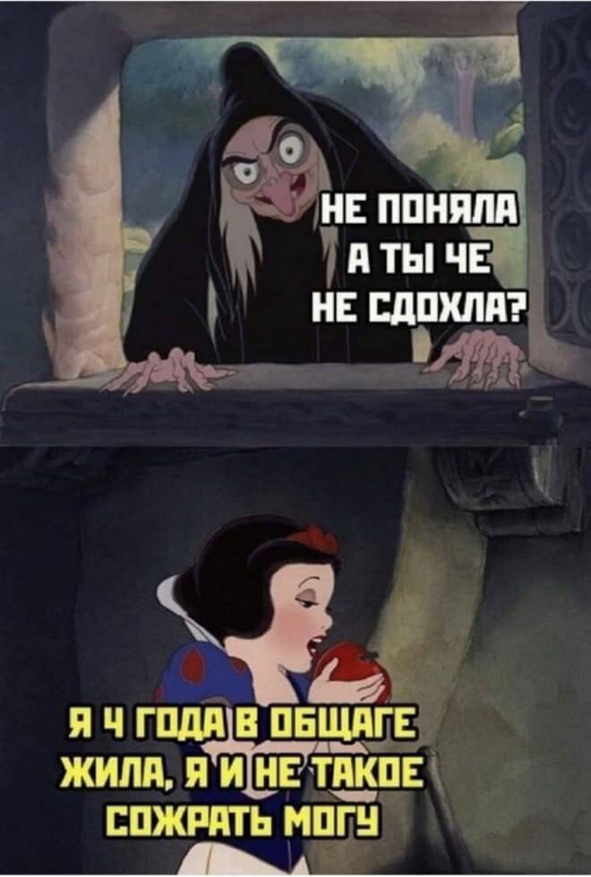 НЕ ПОНЯЛА А ТЫ ЧЕ НЕ СДОХЛА? ГОДА В ОБЩАГЕ ЖИЛА, Я И НЕ ТАКОЕ СОЖРАТЬ МОГУ