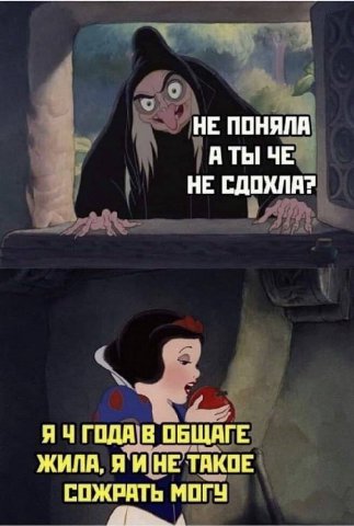 НЕ ПОНЯЛА А ТЫ ЧЕ НЕ СДОХЛА? ГОДА В ОБЩАГЕ ЖИЛА, Я И НЕ ТАКОЕ СОЖРАТЬ МОГУ