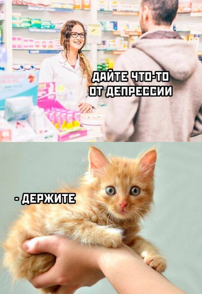 СИИ 4 +5