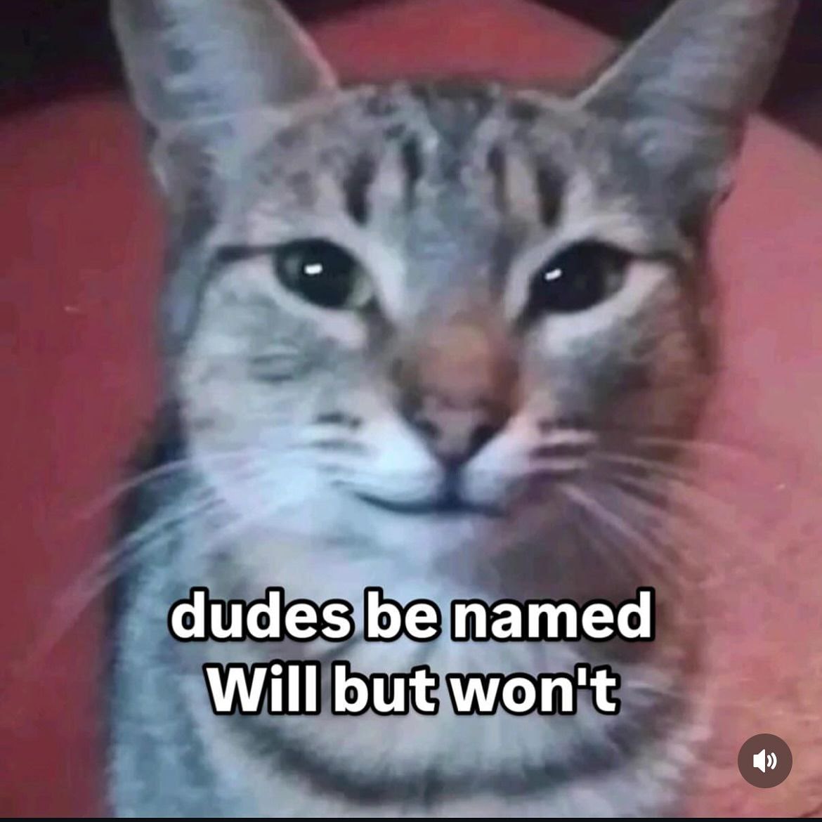 named Will but won't