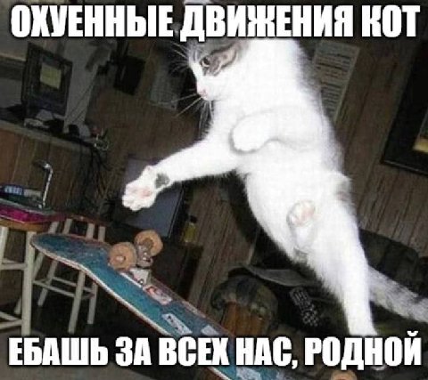 ОКУЕННЫЕ ДВИЖЕНИЯ КОТ ЕБАШЬ ЗА ВСЕХ НАС, РОДНОЙ