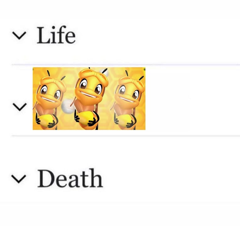 Life Death