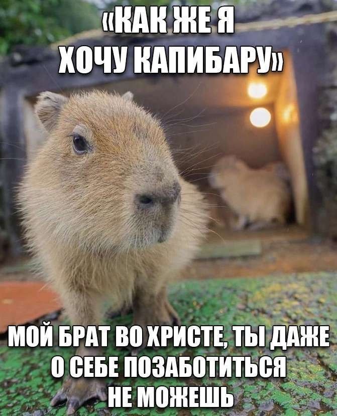 (RAK HE МОИ БРАТ ВО ХРИСТЕ, ТЫ ДАЖЕ О СЕБЕ ПОЗАБОТИТЬСЯ HE МОЖЕШЬ