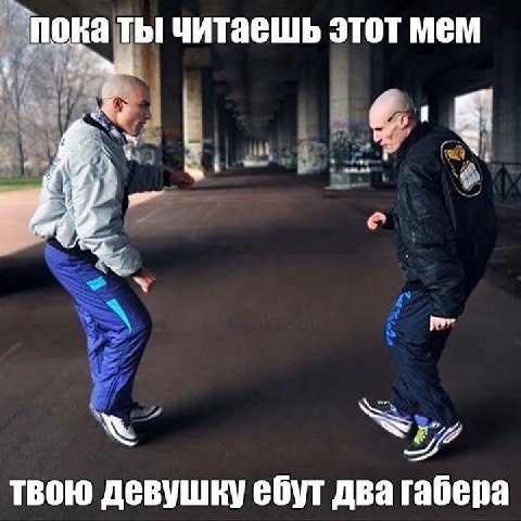 пока ты читаешь этот мем i 1 твою девушку ебут два габера