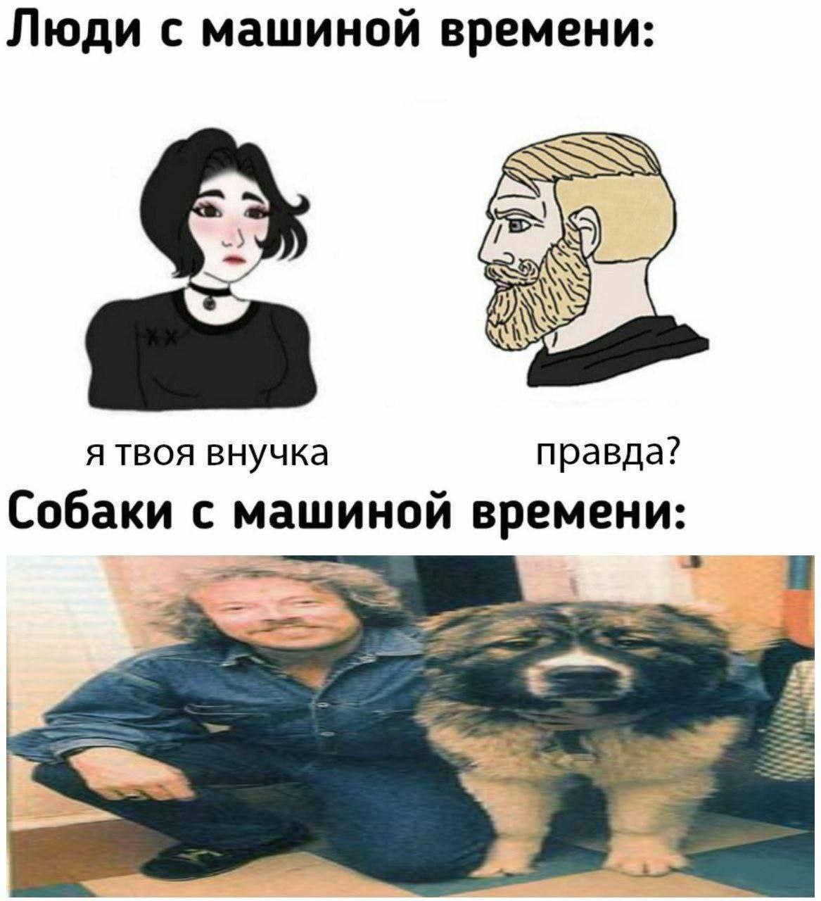 Люди с машиной времени: я твоя внучка правда? Собаки с машиной времени: а