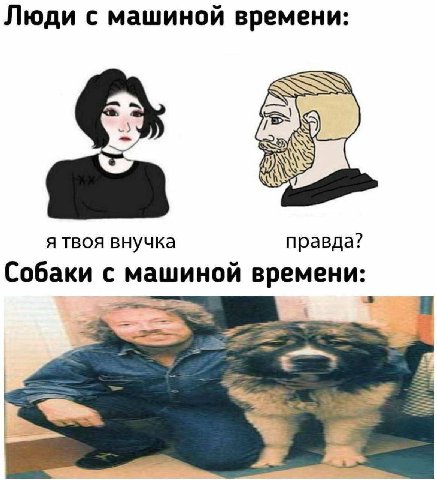 Люди с машиной времени: я твоя внучка правда? Собаки с машиной времени: а