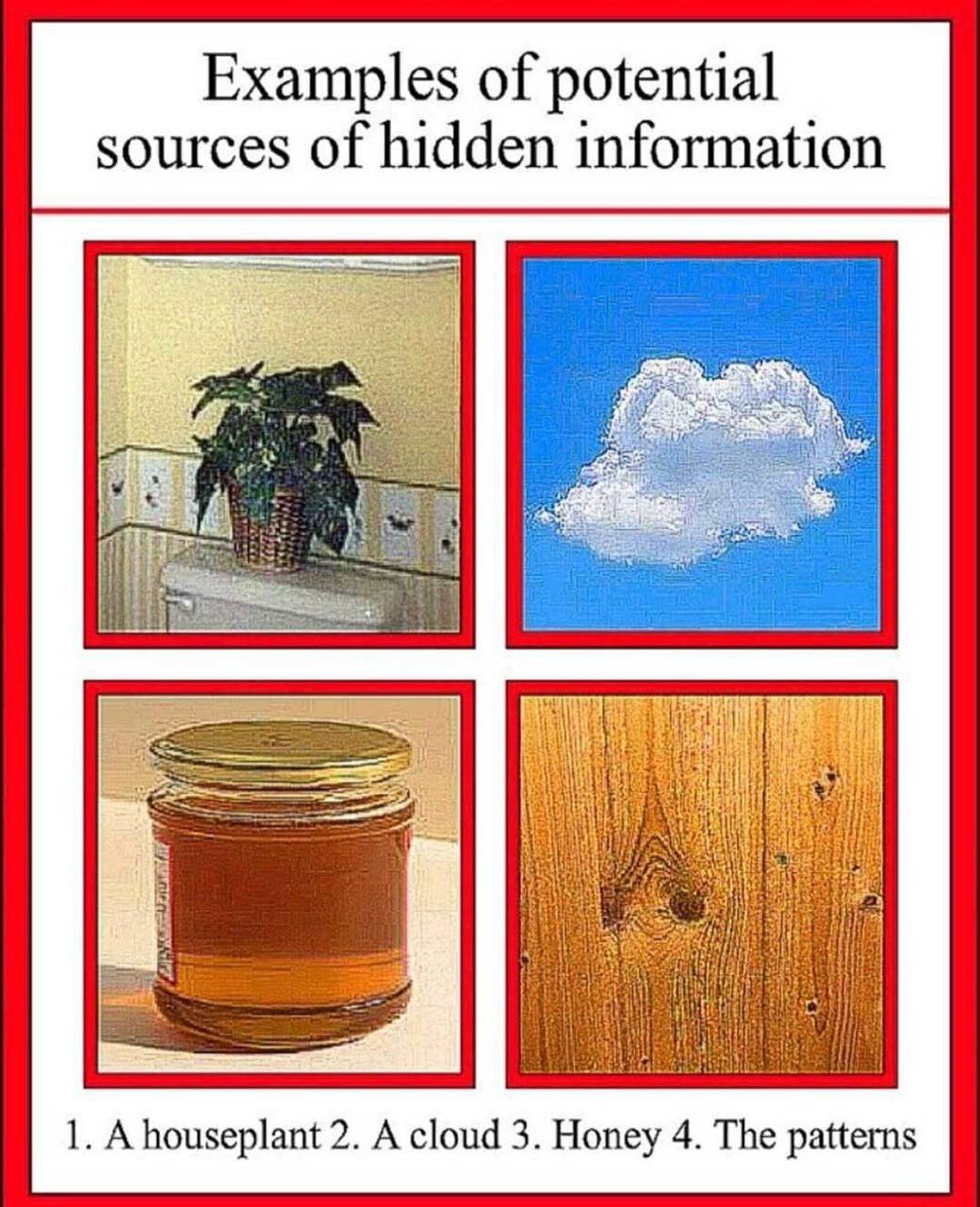 Examples of potential sources of hidden information 1. Ahouseplant 2. A cloud 3. Honey 4. The patterns