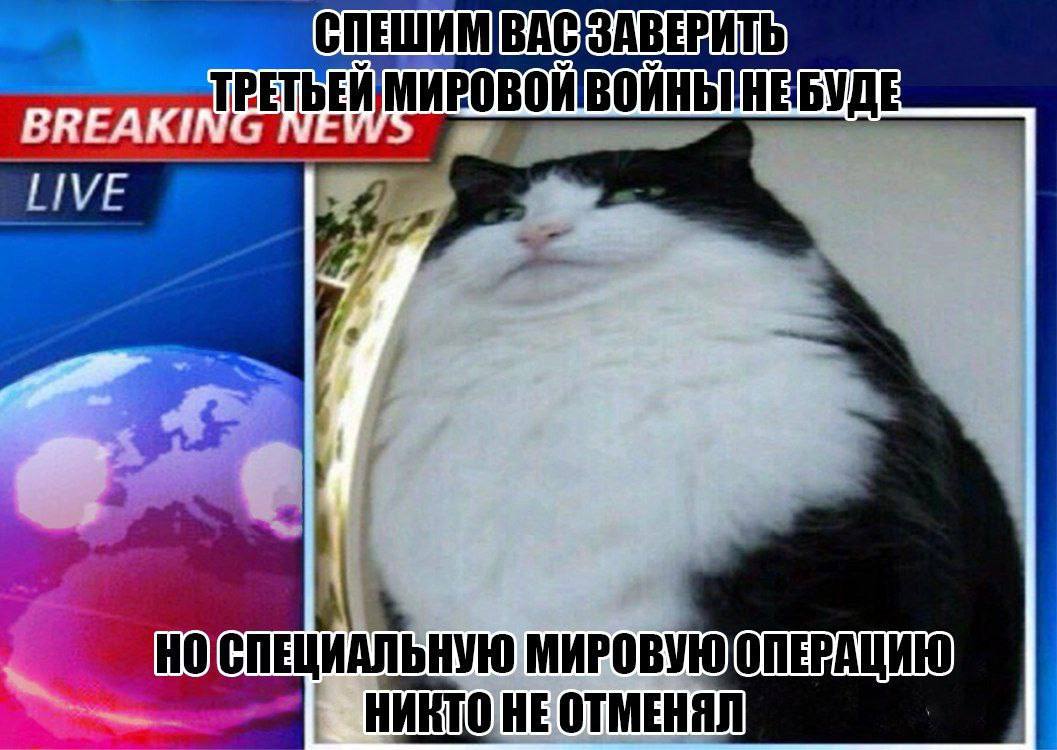 СПЕШИМВАСЗАВЕВИТ BREAKI СПЕЦИАЛЬНУЮ МИР ОПЕРАЦИЮ