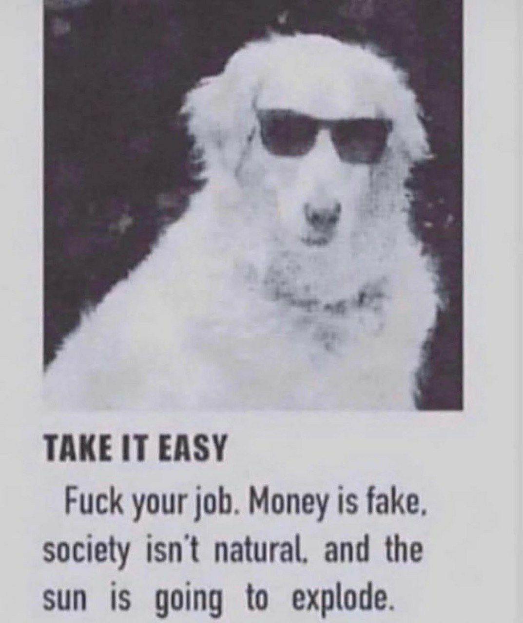TAKE IT EASY Fuck your job. Money is fake society isnt natural. and the sun is going to explode.