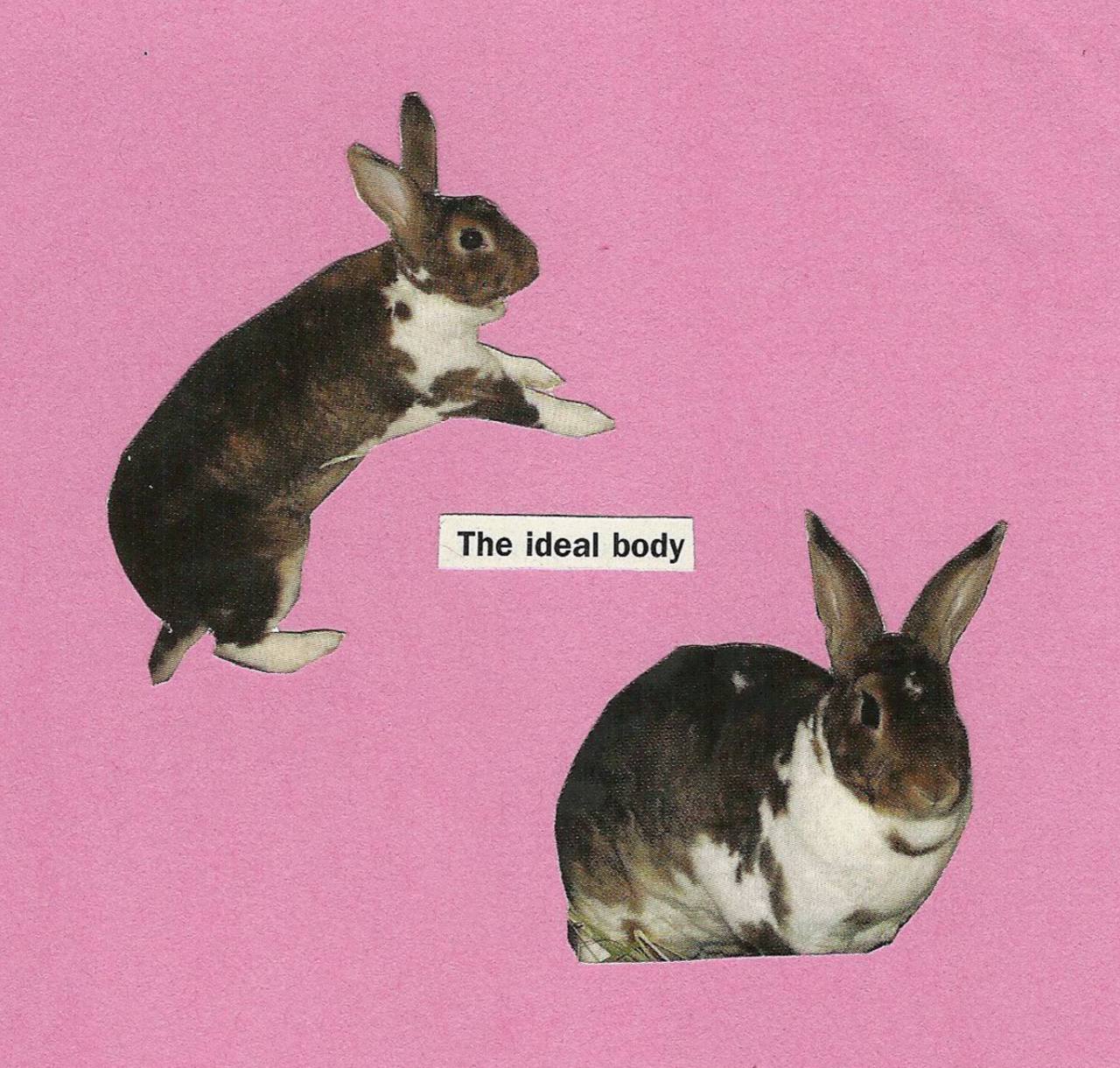 The ideal body