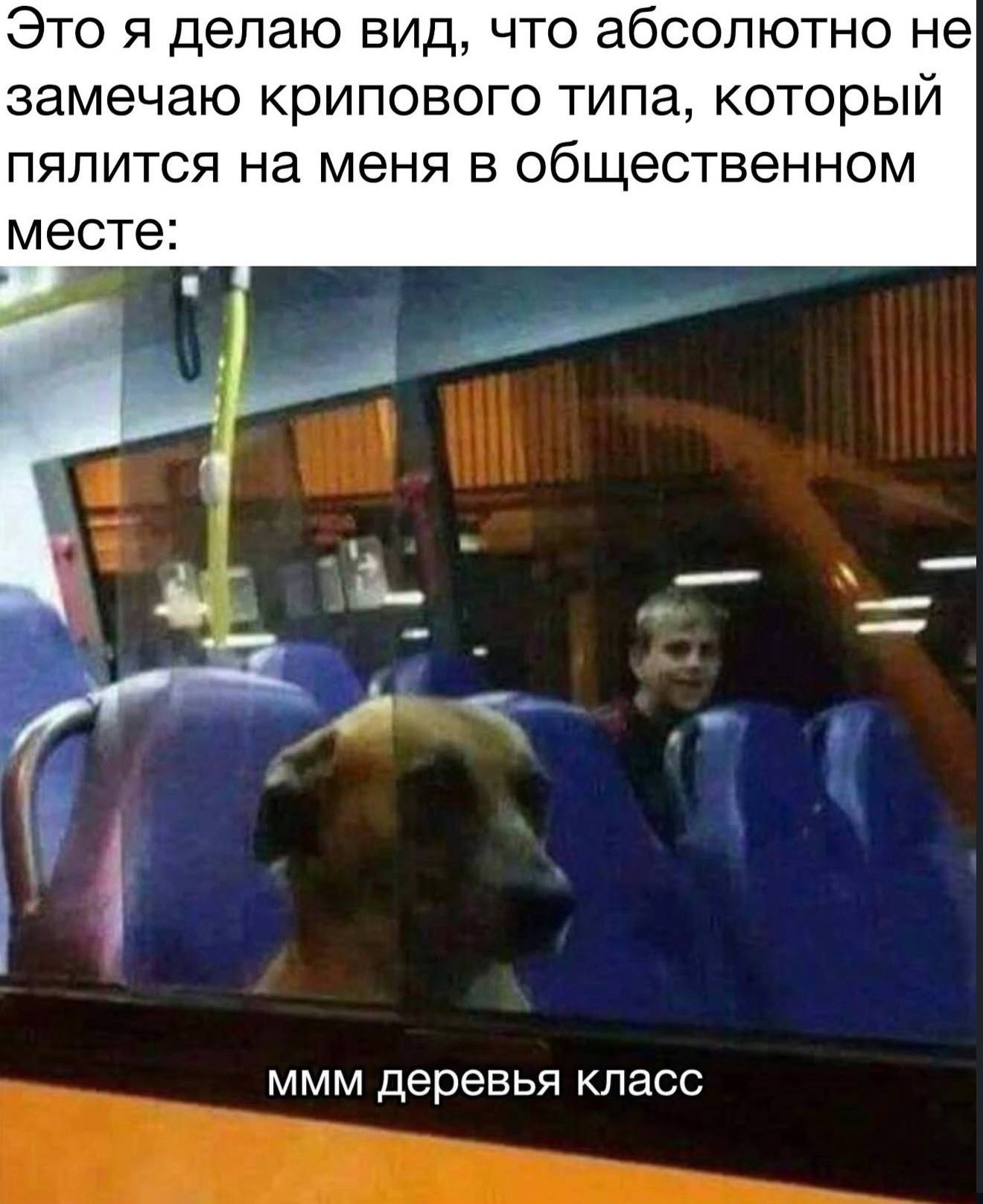 Это я делаю вид, что абсолютно не замечаю крипового типа, который пялится на меня в общественном месте: ммм деревья класс