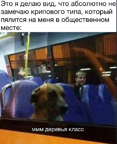 Это я делаю вид, что абсолютно не замечаю крипового типа, который пялится на меня в общественном месте: ммм деревья класс