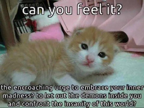 сап.у Feel it? the encroaching urge to embrace your inner madness? to let demons inside you and confront the insanity of this world?
