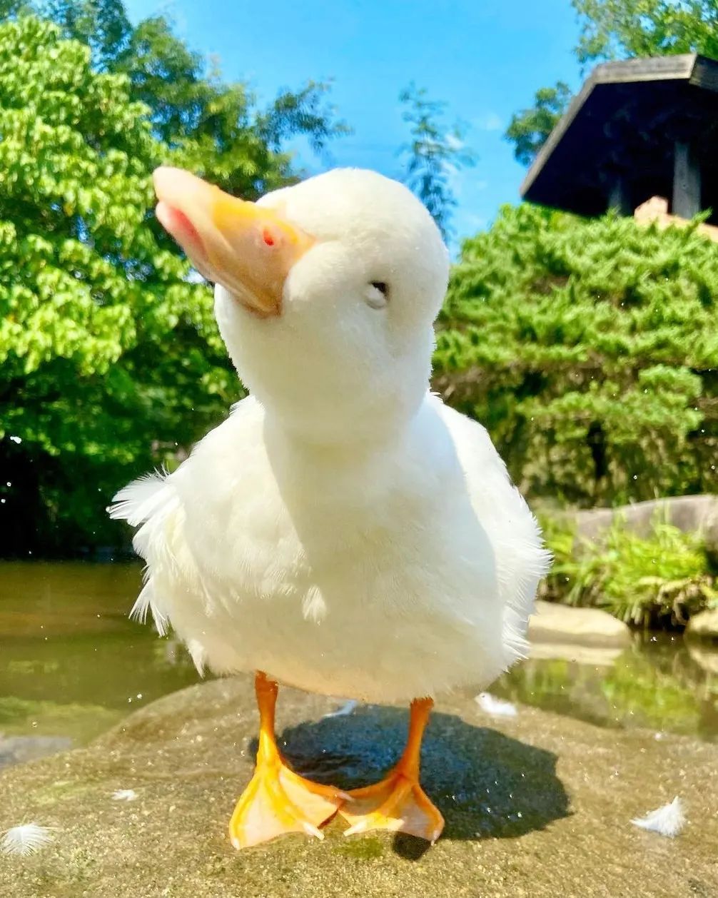у “а 7. у 4 у у