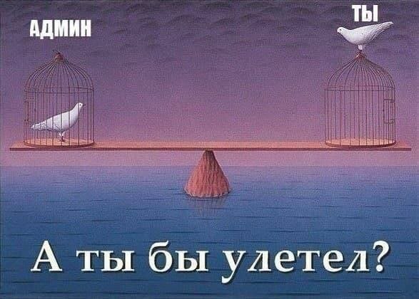 ты АДМИН А ты бы улетел?