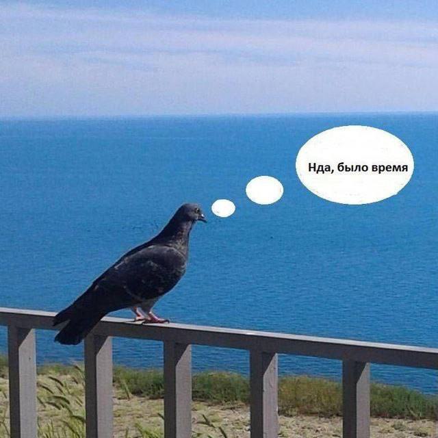 Нда, было время