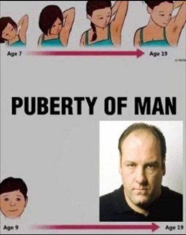 7 PUBERTY OF MAN