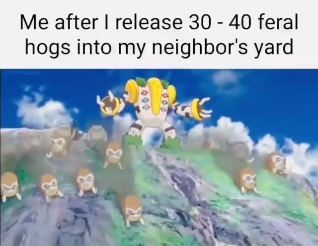 Me after | release 30 - 40 feral
