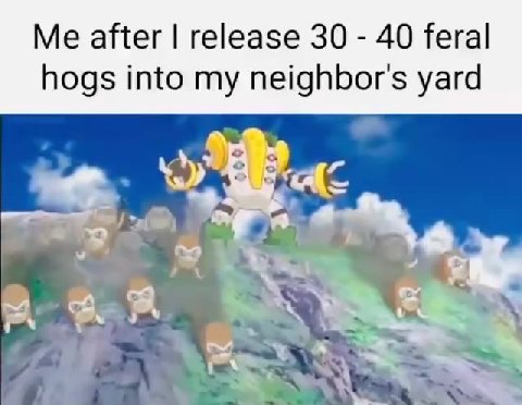Me after | release 30 - 40 feral