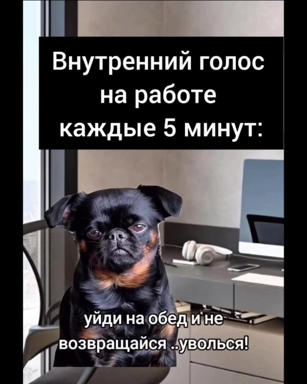 Внутренний голос на работе каждые 5 минут: | уволься прямосейчас!! скажиим всё TOT | возвращайся .уволься!