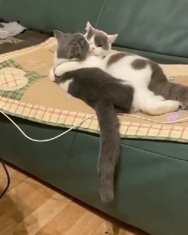 мем