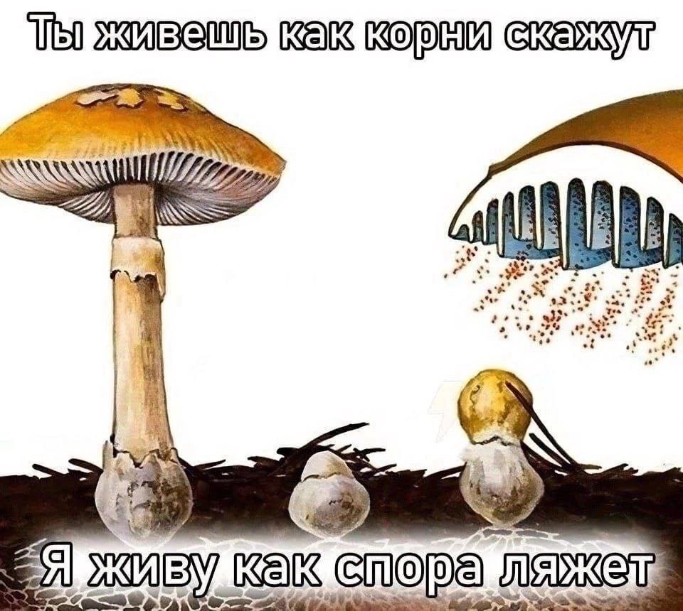 4 У у как