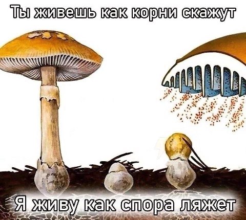 4 У у как