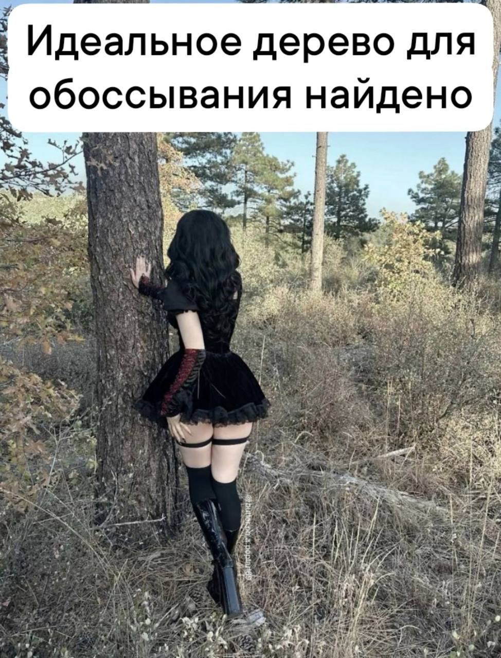 Идеальное дерево для обоссывания найдено 4 i