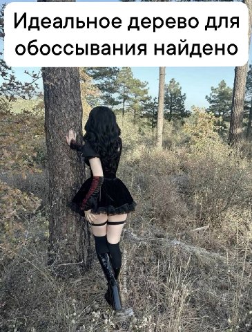 Идеальное дерево для обоссывания найдено 4 i