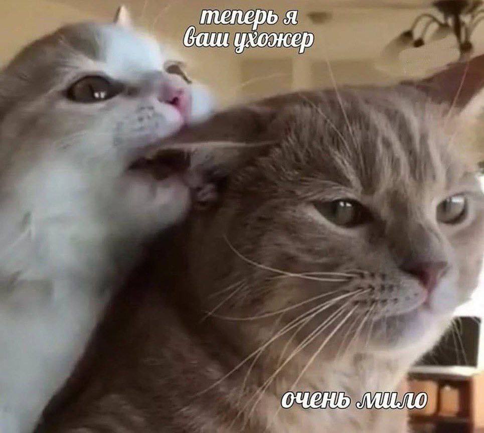 теперь я баш ухожер очень