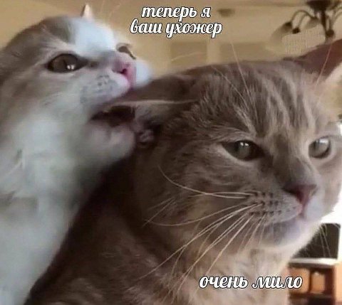 теперь я баш ухожер очень