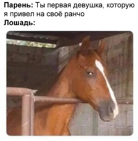 Парень: Ты первая девушка, которую я привел на своё ранчо Лошадь: