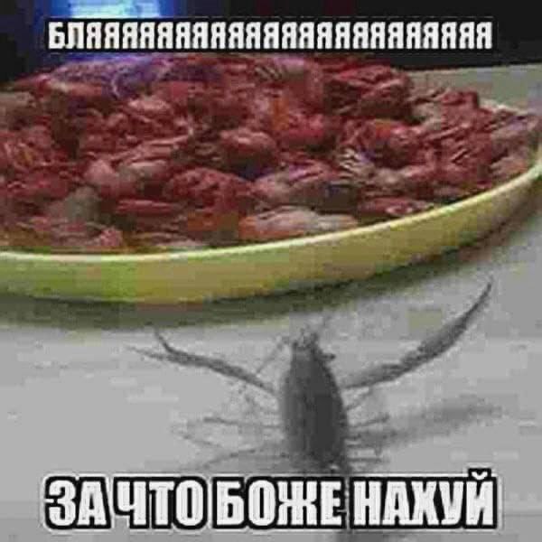 БЛЯЯЯЯЯЯЯЯЯЯЯЯЯЯЯЯЯЯНЯЯЯЯ A ЗА