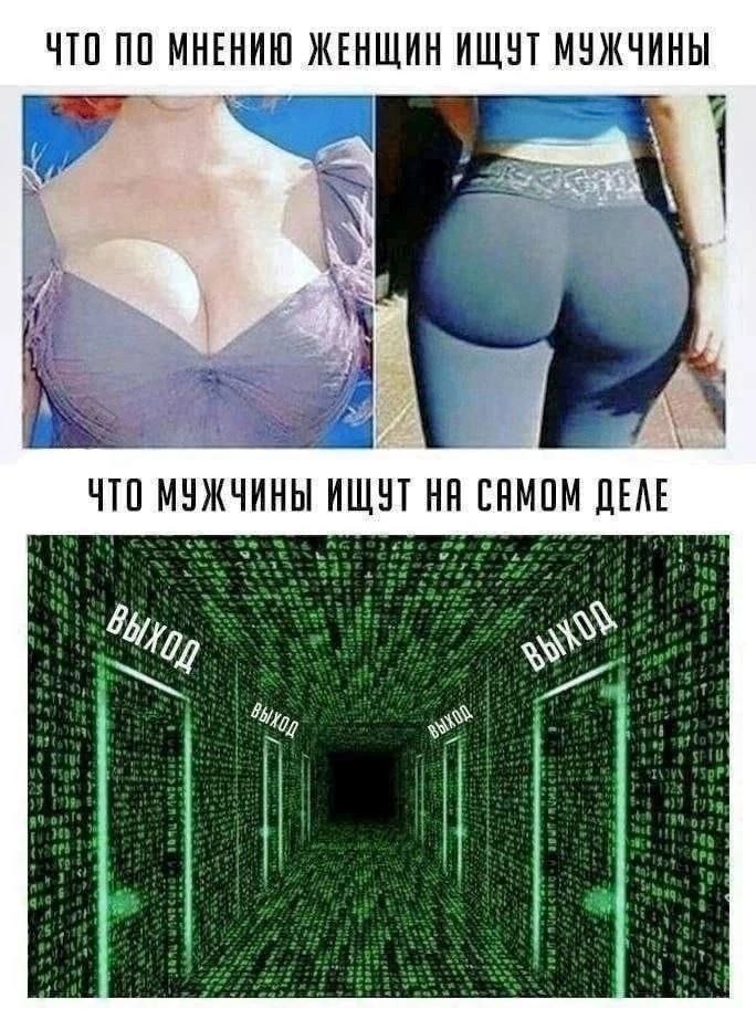 ЧТО ПО МНЕНИЮ ЖЕНЩИН ИЩУТ МУЖЧИНЫ 3 1 i ЧТО МУЖЧИНЫ ИЩУТ САМОМ ДЕЛЕ i