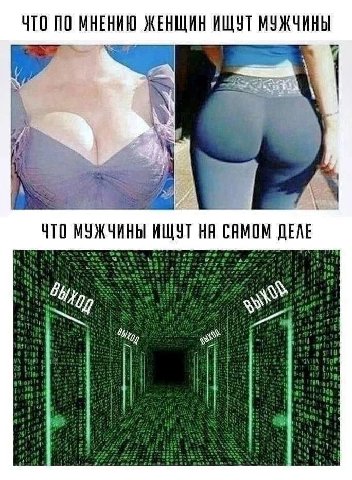 ЧТО ПО МНЕНИЮ ЖЕНЩИН ИЩУТ МУЖЧИНЫ 3 1 i ЧТО МУЖЧИНЫ ИЩУТ САМОМ ДЕЛЕ i