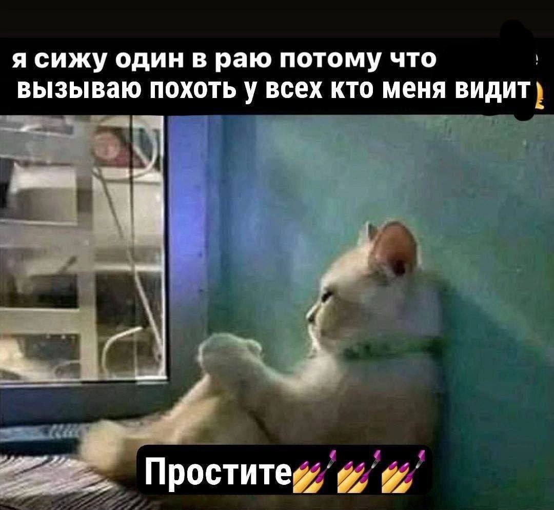 я сижу один в раю потому что вызываю похоть у всех кто меня ВИДИТ 1 i Проститей