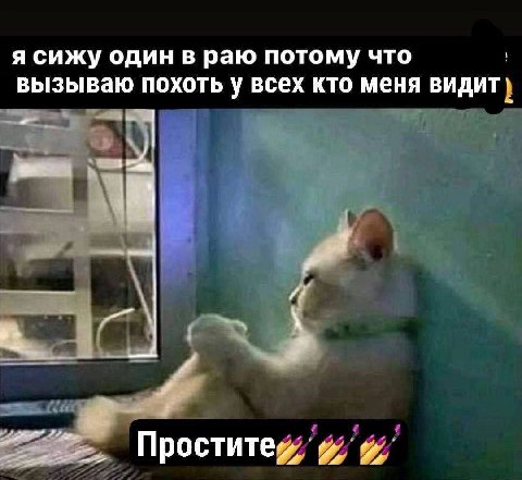 я сижу один в раю потому что вызываю похоть у всех кто меня ВИДИТ 1 i Проститей
