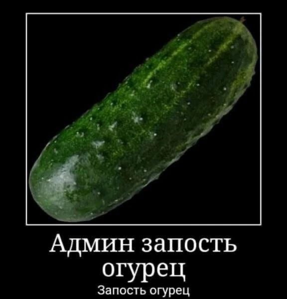 Админ запость огурец Запость огурец