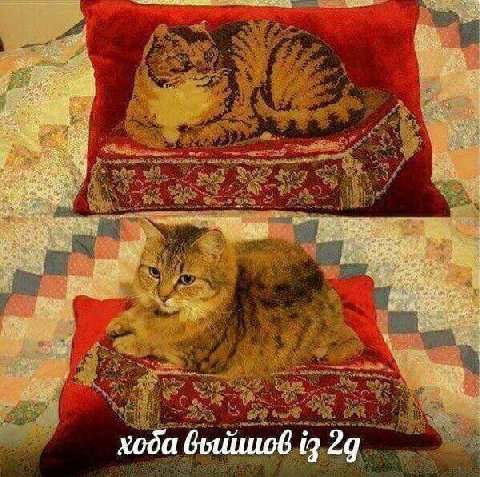 4 хода